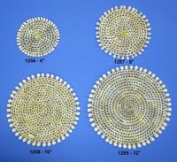 10 inches Round Open Weaved Wicker Placemats Trimmed with Ringtop Cowrie Shells - 12 @ $3.45 each
