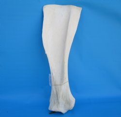 26-1/2 X 9-1/2 inch...