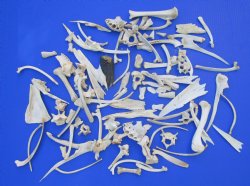 100 Assorted Animal...