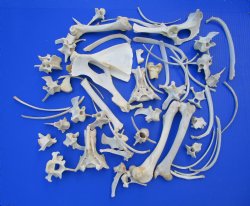 3.25 pounds Assorte...