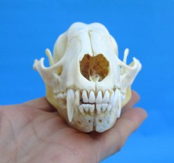 4-1/2 inches North ...