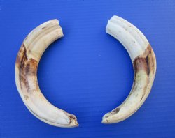 9-1/4 and 9-5/8 inc...