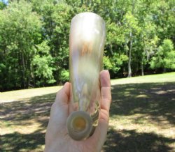 15-3/4 inches Polished Blowing Horn, Viking War Horn - $19.99