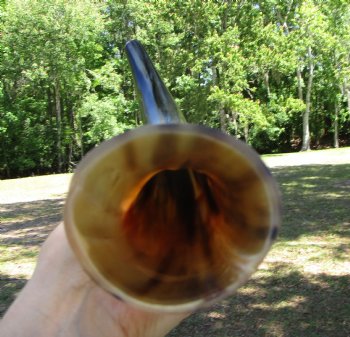 17 inches Polished Blowing Horn, Viking War Horn - $19.99