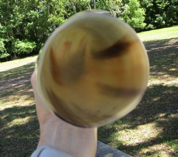 16 inches Polished Blowing Horn, Viking War Horn - $19.99