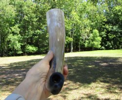 17-1/4 inches Polished Blowing Horn, Viking War Horn - $19.99