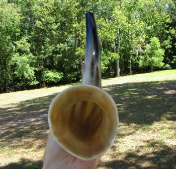 17-1/4 inches Polished Blowing Horn, Viking War Horn - $19.99