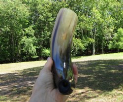 16 inches Polished Blowing Horn, Viking War Horn - $19.99