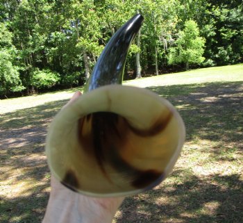 16 inches Polished Blowing Horn, Viking War Horn - $19.99