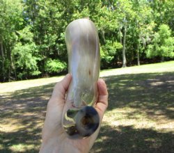 16 inches Polished Blowing Horn, Viking War Horn - $19.99