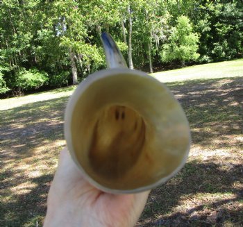 16 inches Polished Blowing Horn, Viking War Horn - $19.99