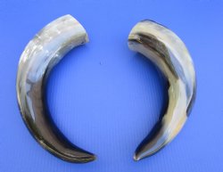 Set of 2 Large Poli...