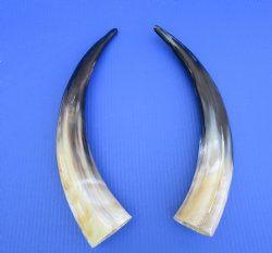 Two Large Polished ...