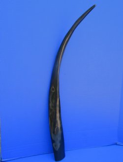 One Long Black Poli...