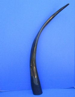 One Long Black Poli...