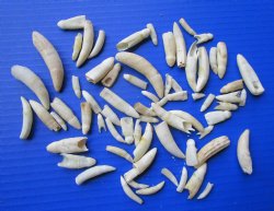 70 (Seventy) 1/2 to...