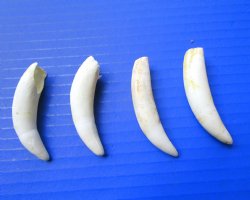 Four 2-5/8 to 2-3/8...