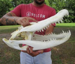 21 inches Real Flor...