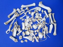 100 Assorted Animal...