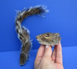 Preserved Real Squi...