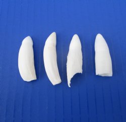 Four Authentic Alli...