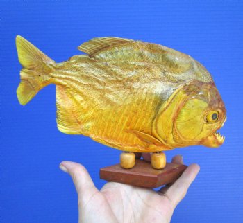 Taxidermy Piranha Fish on Wooden Base (9.25x5.75) - Buy this for $64.99