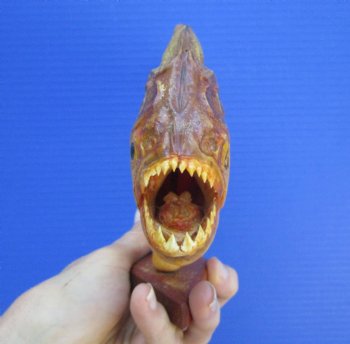 Taxidermy Piranha Fish on Wooden Base (9.25x5.75) - Buy this for $64.99