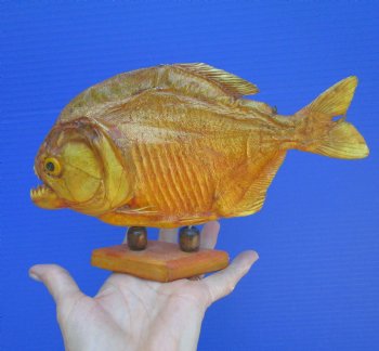 Taxidermy Piranha Fish on Wooden Base (9x5.75) - Buy this for $64.99