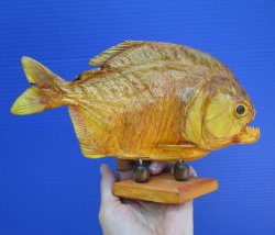 Taxidermy Piranha F...