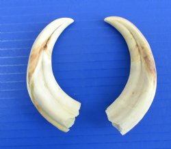 Two Small African W...