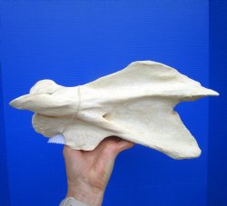 12-3/4 inches Giraf...