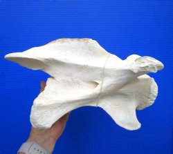 12 inches Giraffe V...