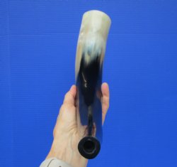 Polished Blowing Ho...