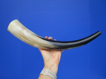 Polished Blowing Horn, Viking War Horn (18") - $19.99