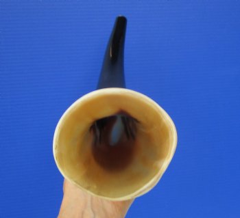 Polished Blowing Horn, Viking War Horn (18") - $19.99