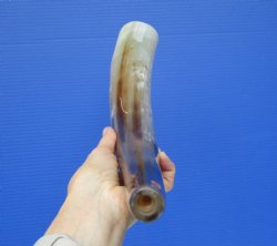 Polished Blowing Ho...