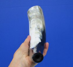 Polished Blowing Ho...