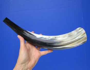 Polished Blowing Horn, Viking War Horn (15-7/8") - $19.99