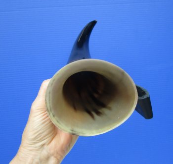 Hanging Drinking Horn with Leather Horn Holster (16") for 24.99
