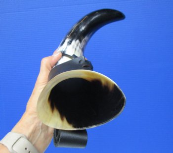 Hanging Drinking Horn with Leather Horn Holster (18") for 24.99