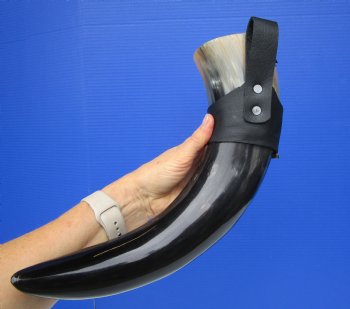 Hanging Drinking Horn with Leather Horn Holster (18") for 24.99