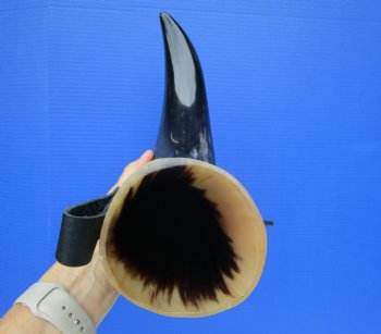 Hanging Drinking Horn with Leather Horn Holster (18") for 24.99