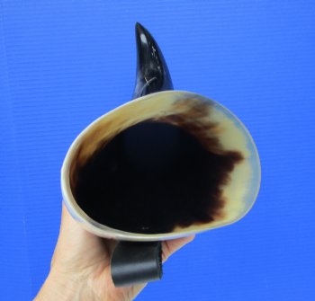 Hanging Drinking Horn with Leather Horn Holster (15") for 24.99