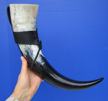 Large Hanging Drinking Horn with Leather Horn Holster (21") for 29.99