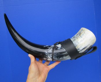 Large Hanging Drinking Horn with Leather Horn Holster (21") for 29.99