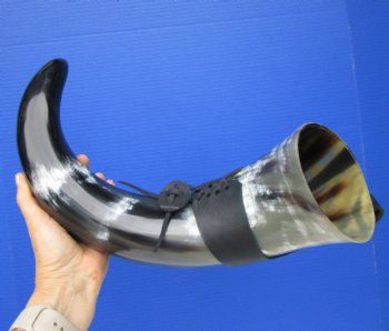 Large Hanging Drinking Horn with Leather Horn Holster (22") for $29.99