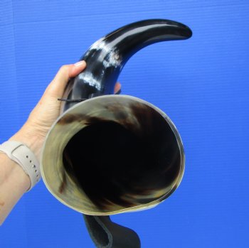 Large Hanging Drinking Horn with Leather Horn Holster (22") for $29.99