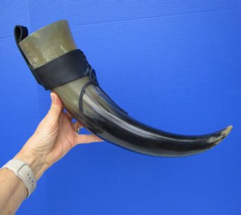 Large Hanging Drinking Horn with Leather Horn Holster (19.5") for 29.99