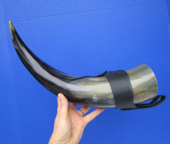 Large Hanging Drinking Horn with Leather Horn Holster (19.5") for 29.99