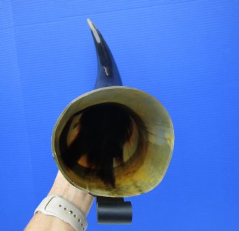 Large Hanging Drinking Horn with Leather Horn Holster (19.5") for 29.99